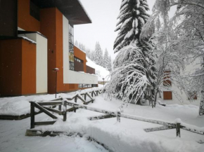 Luce Delle Dolomiti con navetta e sala giochi Mazzin